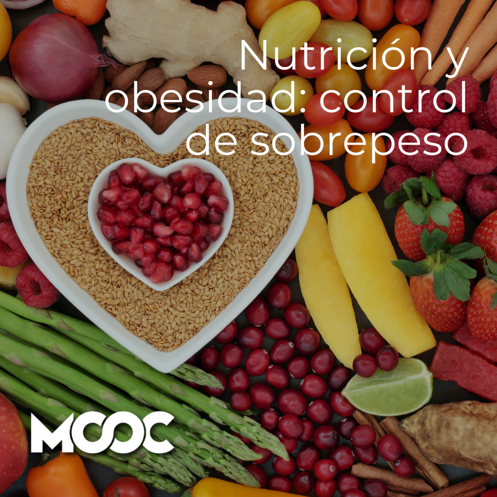 Nutrici N Y Obesidad Control De Sobrepeso Udgvirtual Formaci N Integral